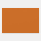 パンプキンスパイス白いスクリプト幸せな感謝祭 ラッピングペーパーシート (正面2)