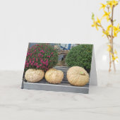 パンプキンズ&ムズオータム恵み カード (黄色い花)