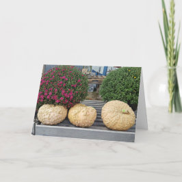 パンプキンズ&ムズオータム恵み カード