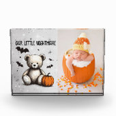 パンプキンテディ フォトブロック (正面)