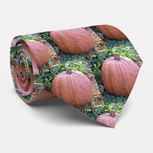 パンプキンハロウィーンタイ ネクタイ (ロール)