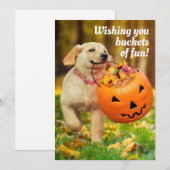 パンプキンバケツの子犬 招待状 (正面/裏面)