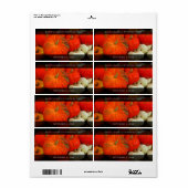 パンプキンバター ラベル (フルシート)