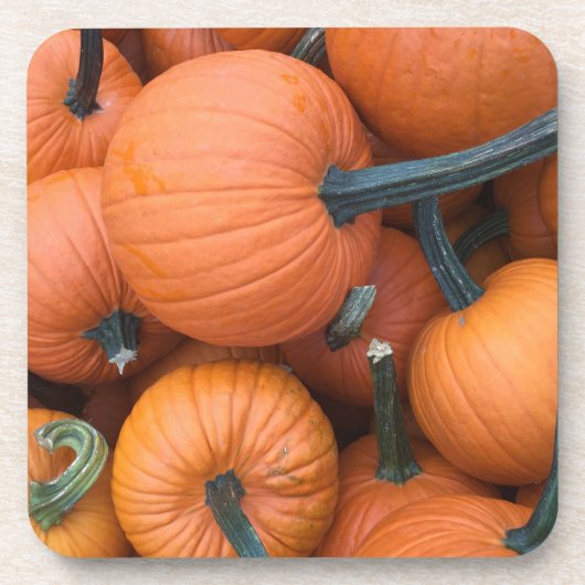 パンプキンパイル！ コースター (正面)