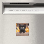 パンプキンパッチの子猫 マグネット (インサイチュ (食洗機))