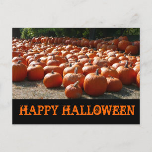 パンプキンパッチハッピーハローウィン ポストカード