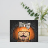 パンプキンヘアの猫 インビテーションポストカード (スタンド正面)