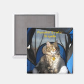 パンプキンベビーカー旅団マグネット マグネット (正面/裏面)