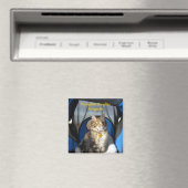 パンプキンベビーカー旅団マグネット マグネット (インサイチュ (食洗機))