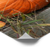 パンプキンペア秋鏡抽象芸術 ポスター (角)