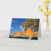 パンプキン カード (黄色い花)