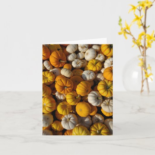 パンプキン カード (黄色い花)