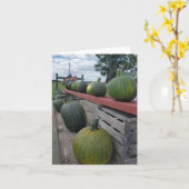 パンプキン カード (黄色い花)