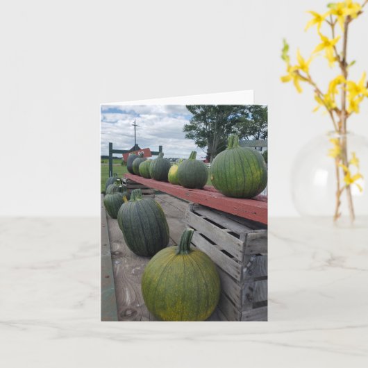 パンプキン カード (黄色い花)