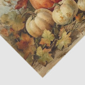 パンプキ色彩の鮮やかンス 薄葉紙 (詳細)