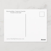 パンプディング葉書 ポストカード (裏面)