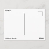 パンプローナランニングスペインの雄牛 ポストカード (裏面)