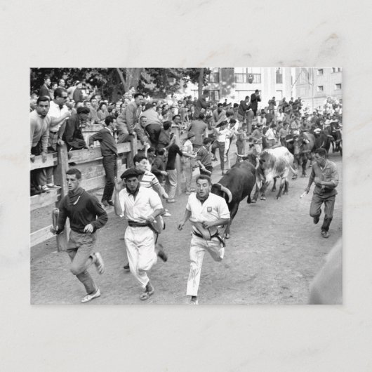 パンプローナランニングスペインの雄牛 ポストカード (正面)