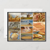 パン小麦ペストリー生地コラージュを焼く ポストカード (正面/裏面)