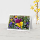 パン輝くス カード (黄色い花)