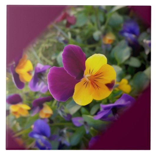 パン輝くス タイル (正面)