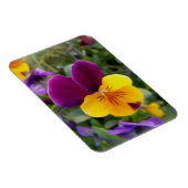 パン輝くス マグネット (右側)