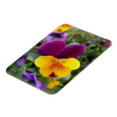 パン輝くス マグネット (左側)