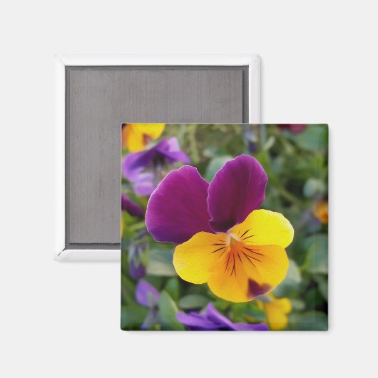 パン輝くス マグネット (正面/裏面)