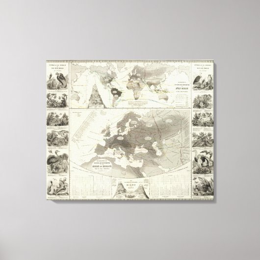 パン、鳥 キャンバスプリント (正面)