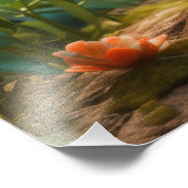 パーカーザレッド(鳥)ショウジョウコウカンチョウシック フォトプリント (角)