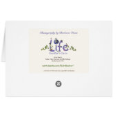 パーカー川野生生物保護区：プラム島 (裏面横)