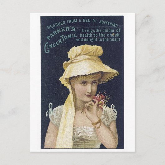 パーカー生姜トニック ポストカード (正面)