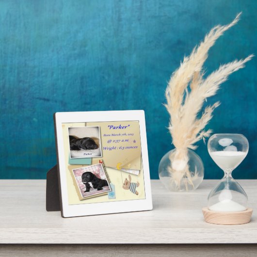 パーカー誕生証明書 フォトプラーク (インサイチュ)