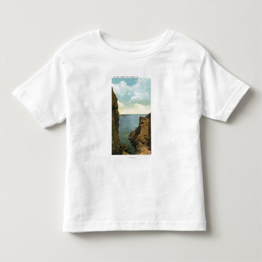 パーキンズの入江の裂け目の眺め トドラーTシャツ (正面)
