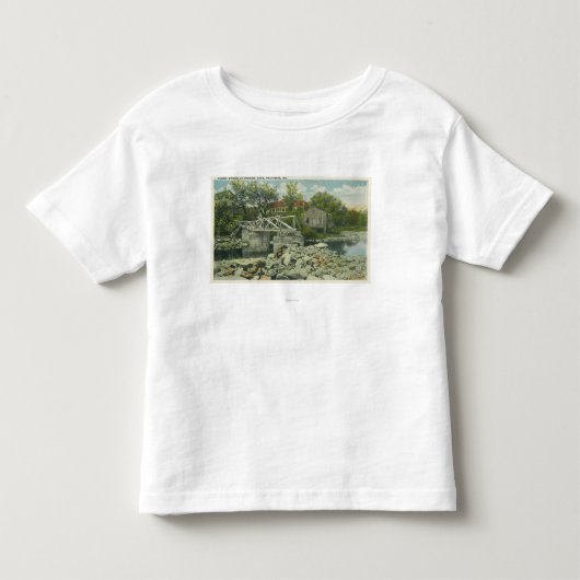 パーキンズの入江場面の素朴な橋 トドラーTシャツ (正面)