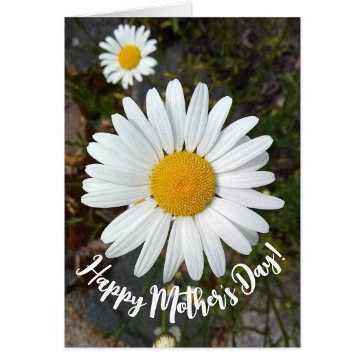 パーキーホワイトデイジーフラワーマザーズデイカード (正面)