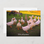 パークカッカーのおもしろいアヒル シーズンポストカード (正面/裏面)