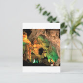 パークカールスバッドカーバーズニューメキシコ ポストカード (スタンド正面)