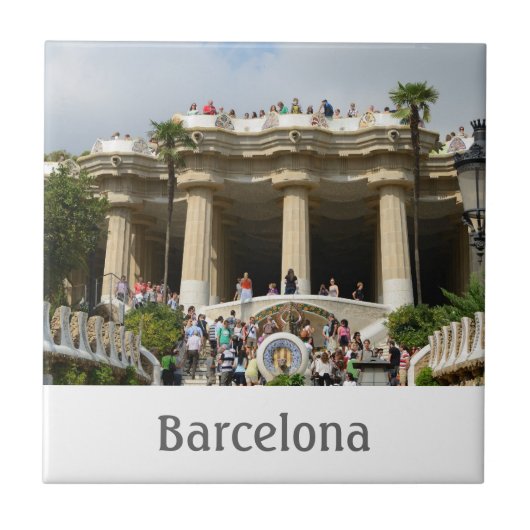 パークグエルタイル タイル (正面)