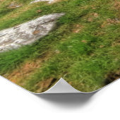 パークナビンナウェッジ墓 ポスター (角)