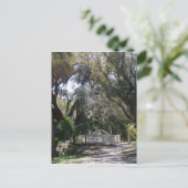 パークブリッジ ポストカード (スタンド正面)