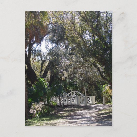 パークブリッジ ポストカード (正面)