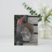 パークベンチのリスのカスタマイズ可能なカード サンキューカード (スタンド正面)