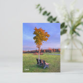 パークベンチアラスカ – はがき (スタンド正面)