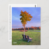 パークベンチアラスカ – はがき (正面/裏面)