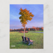 パークベンチアラスカ – はがき (正面)