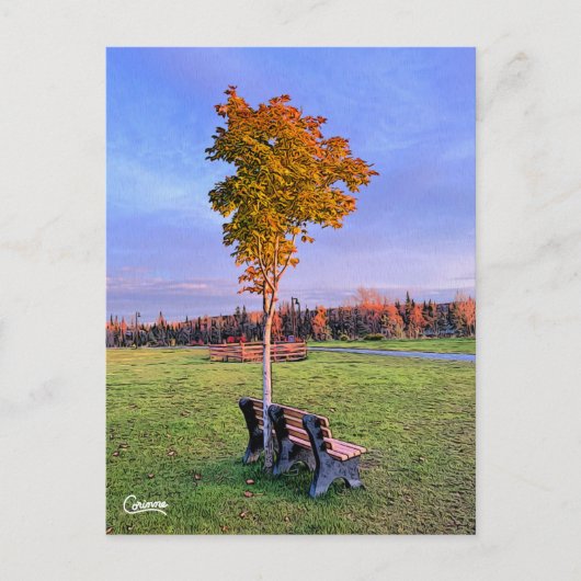 パークベンチアラスカ – はがき (正面)