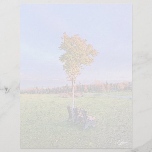 パークベンチ – 8.5インチx 11インチひな形シート (正面)