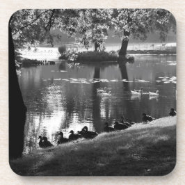 パークライフコースタコン コースター