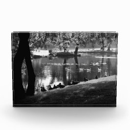 パークライフパバ フォトブロック